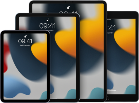 KlikPhone répare tous les iPad iPad Pro Noir, iPad Air Noir, iPad mini